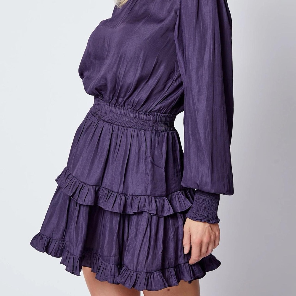 The Impeccable Pig Ruched Tiered Purple Long-sleeve Mini Dress - Small